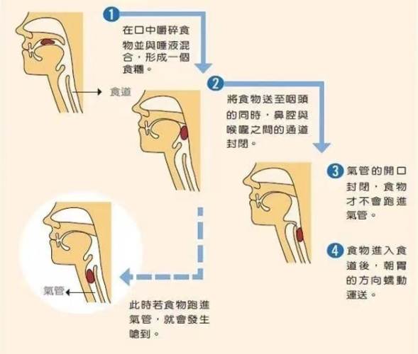 口腔期是什麼