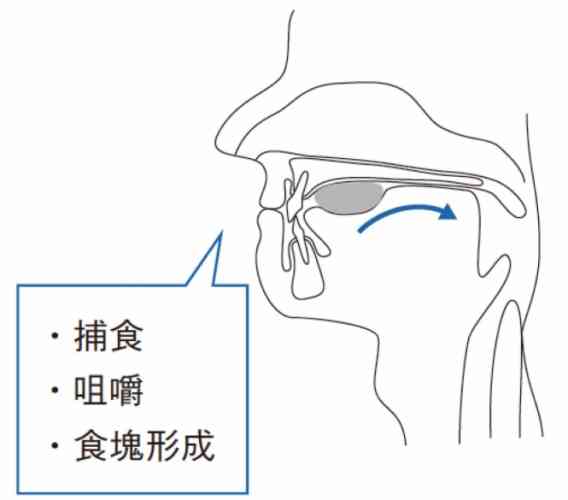 口腔期年齡