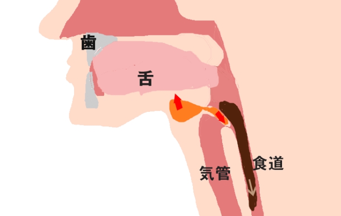 口腔期是什麼
