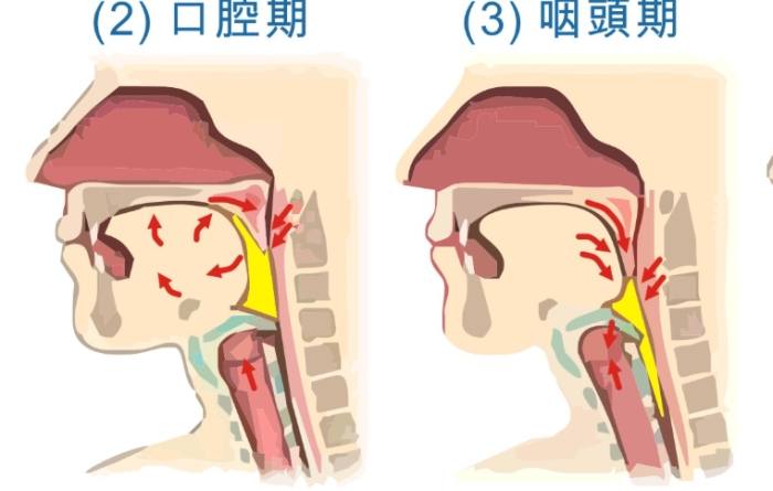 口腔期多久